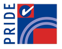 The Pride Group – Electronic Security, Solar & Batteries Logo